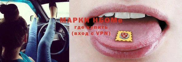 ГАЛЛЮЦИНОГЕННЫЕ ГРИБЫ Бородино