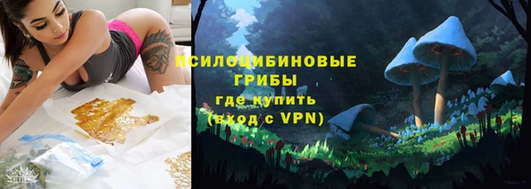 крисы Верхний Тагил